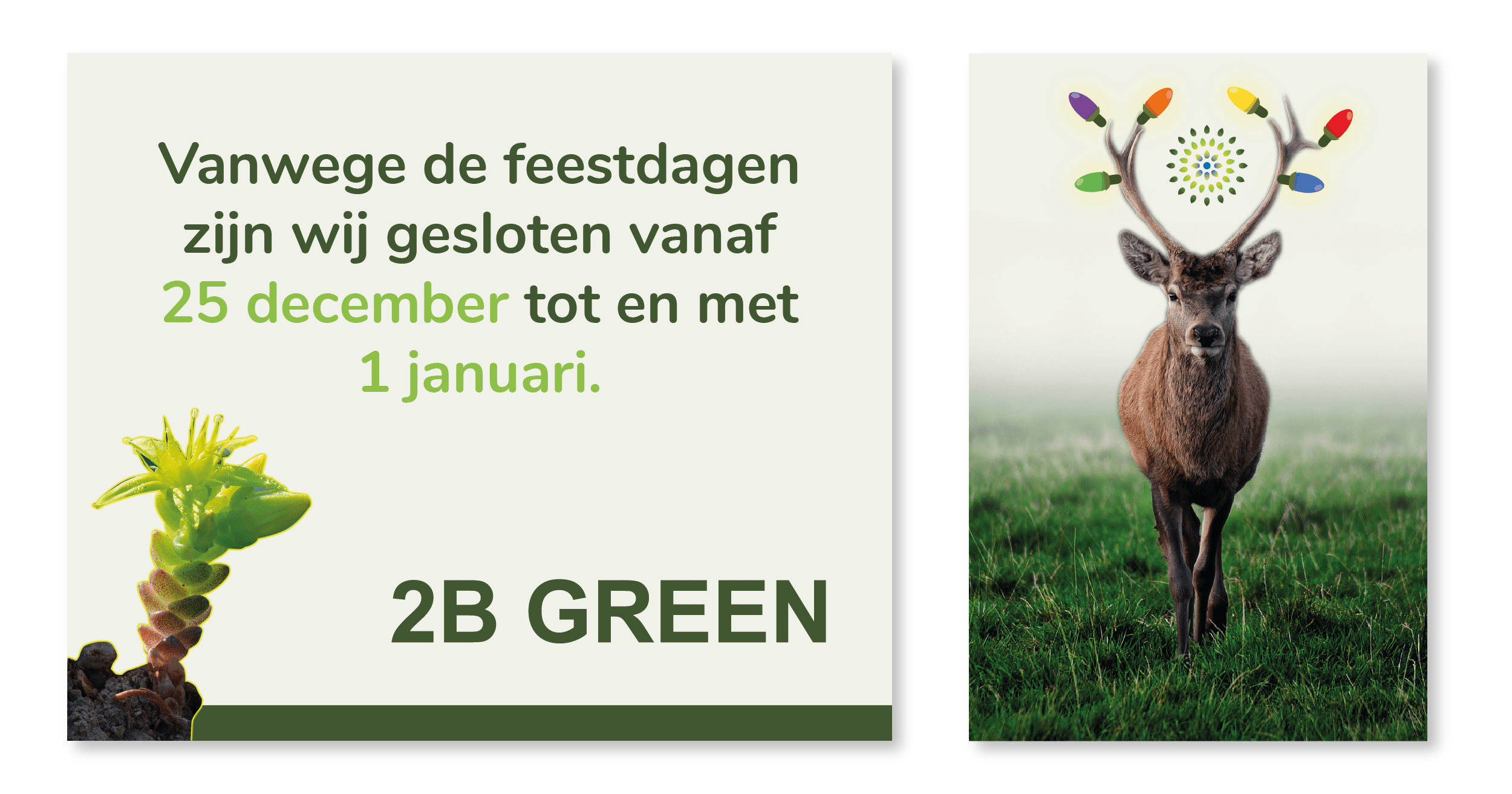 2B-Green: Tijdelijke Sluiting Tijdens de Feestdagen en een Kijkje naar het Nieuwe Jaar